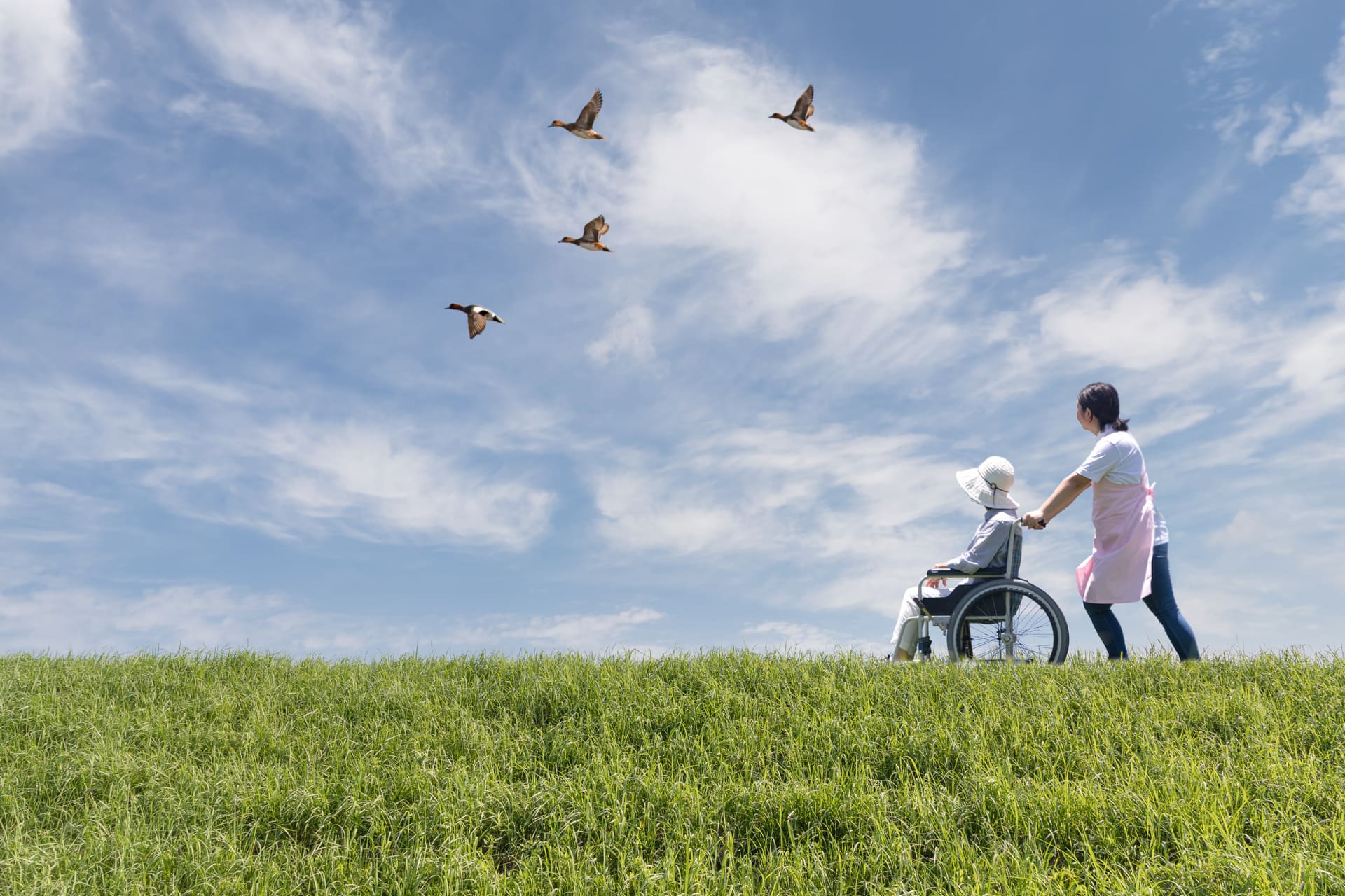 処遇改善加算サポート